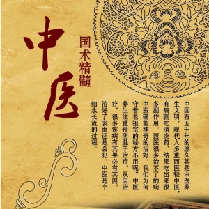 中国中医学的基本特点和基础理论