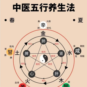 中医诊断基础--望舌（舌诊）七诀歌