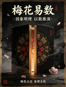 梅花易术